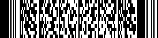 O PDF417 barcode example